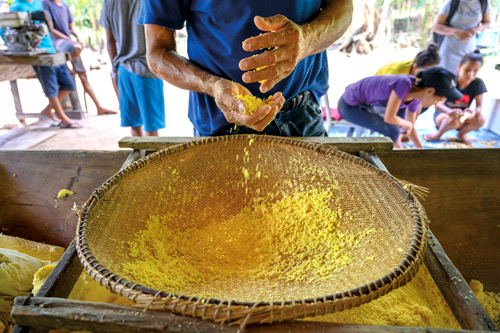 a man processes mandioca root into farinha over a basket