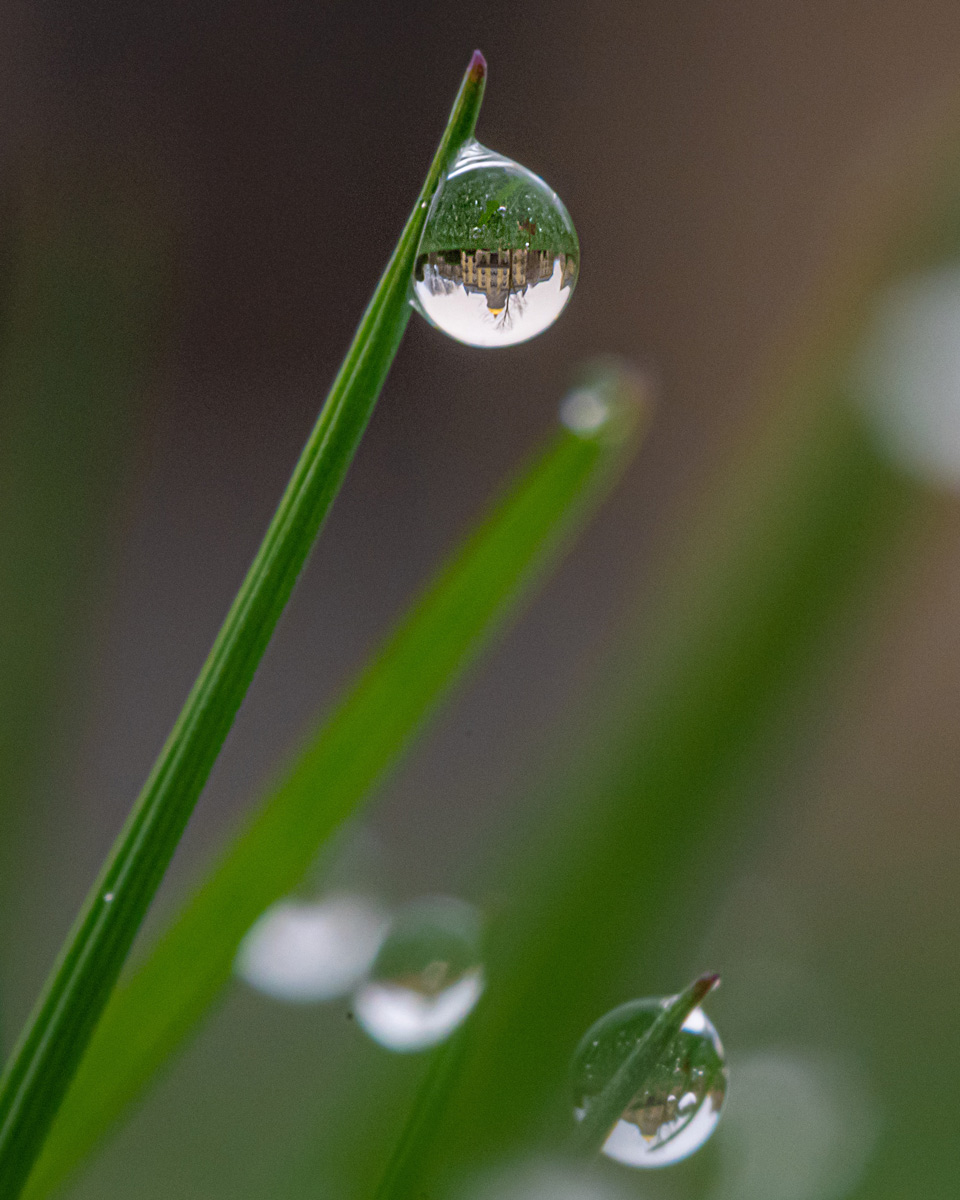 Dome reflected in a dew drop