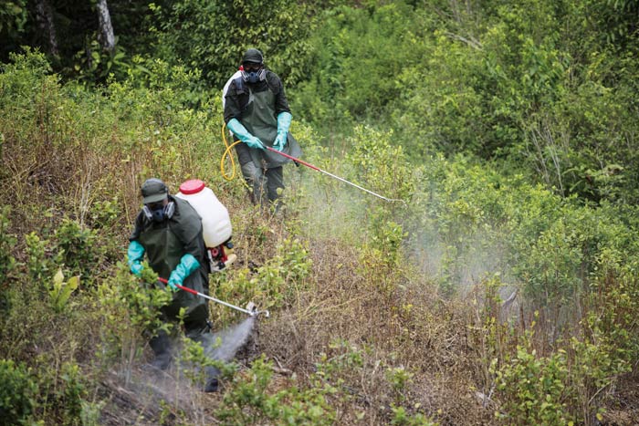 Workers spraying chemicals on coca field
